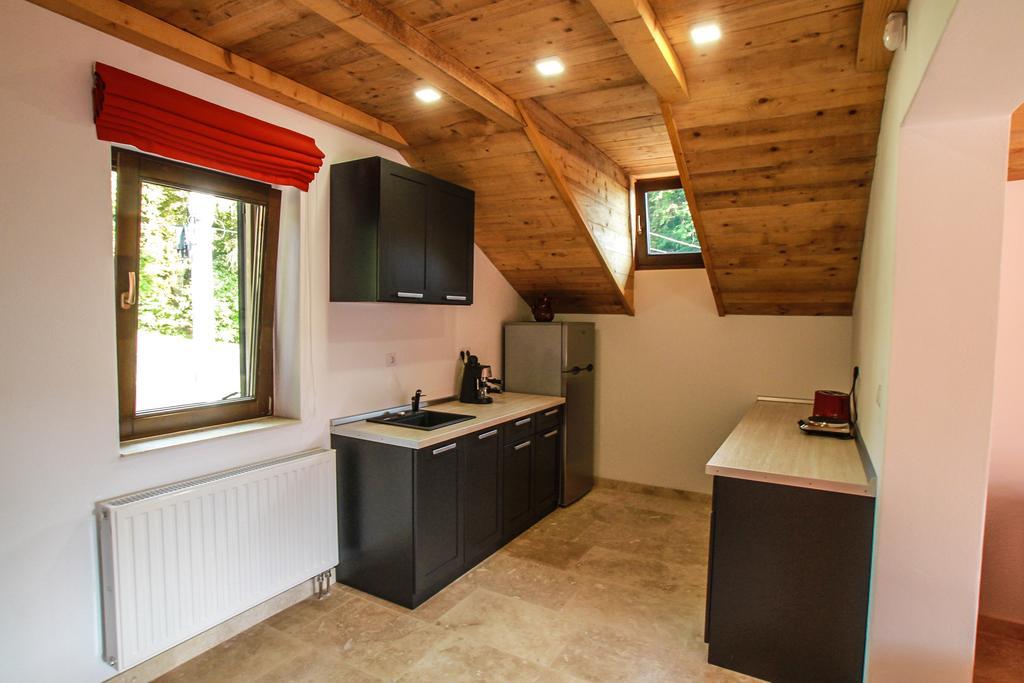 Vila Vista Sovata Exteriér fotografie